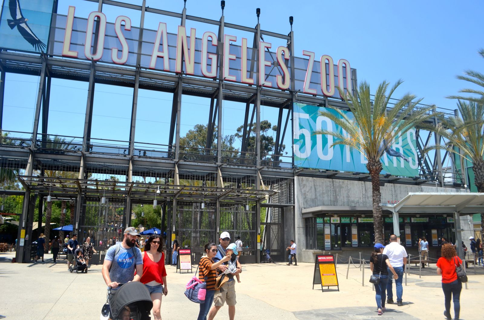 LA Zoo: 5 BEST Things to Do