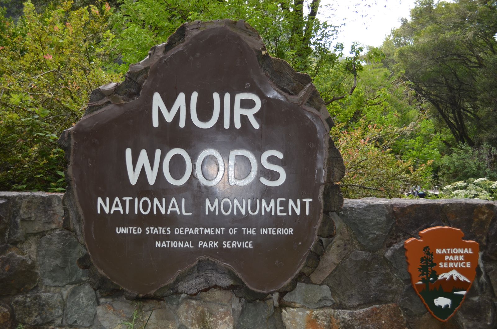 Muir Woods log sign Muir Woods log sign