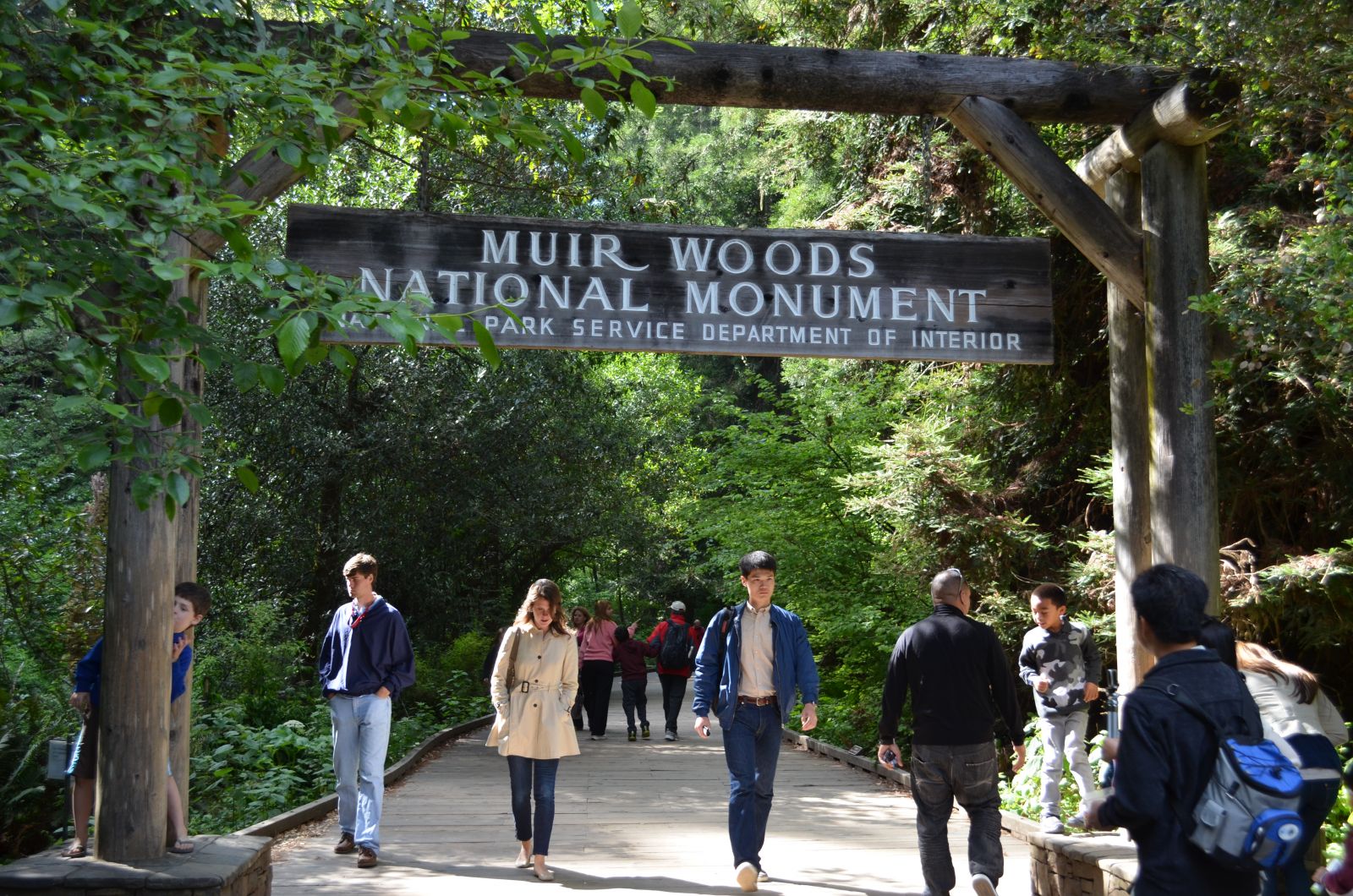 Attractions at Muir Woods