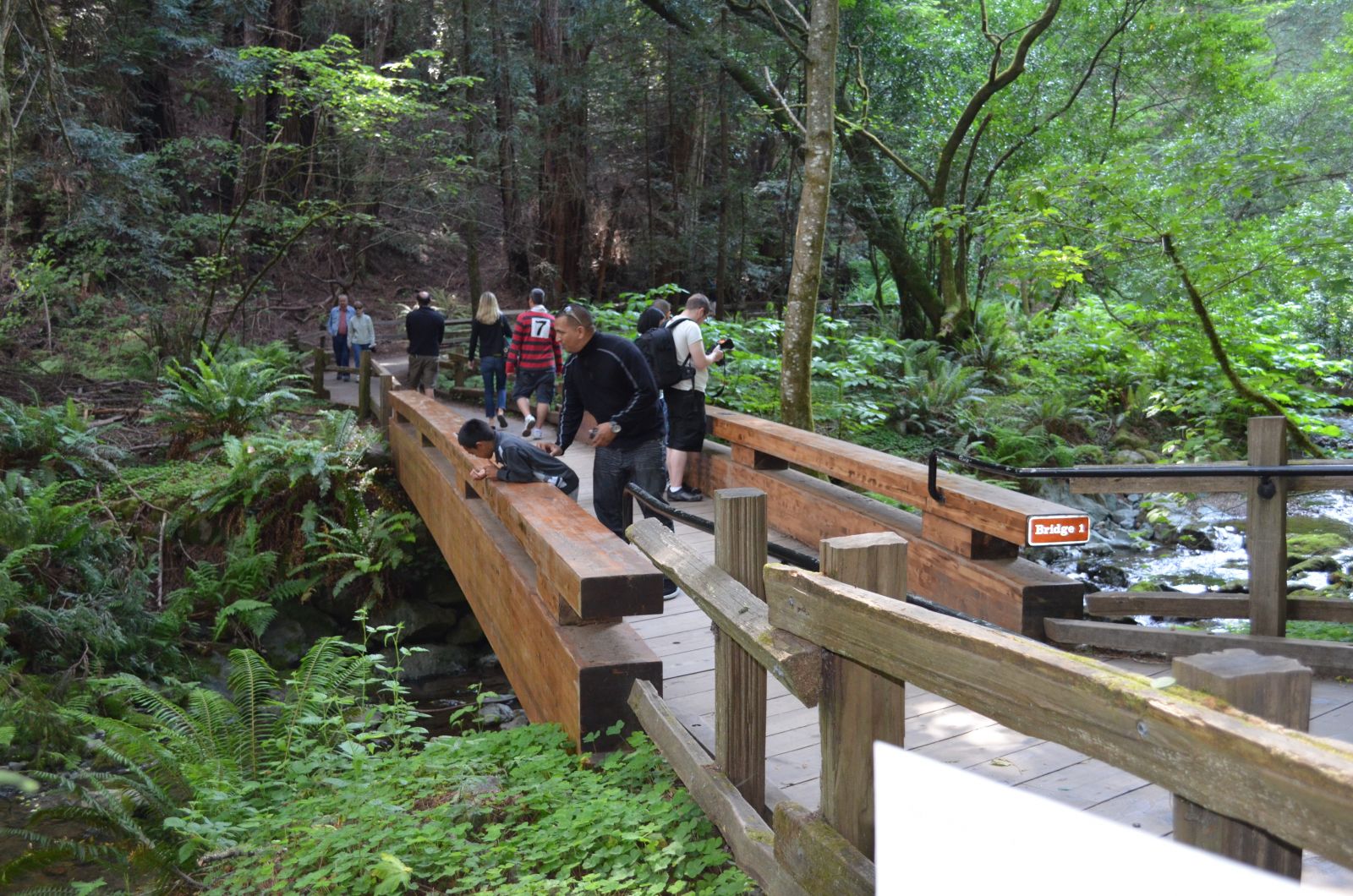 Muir Woods San Francisco Muir Woods San Francisco