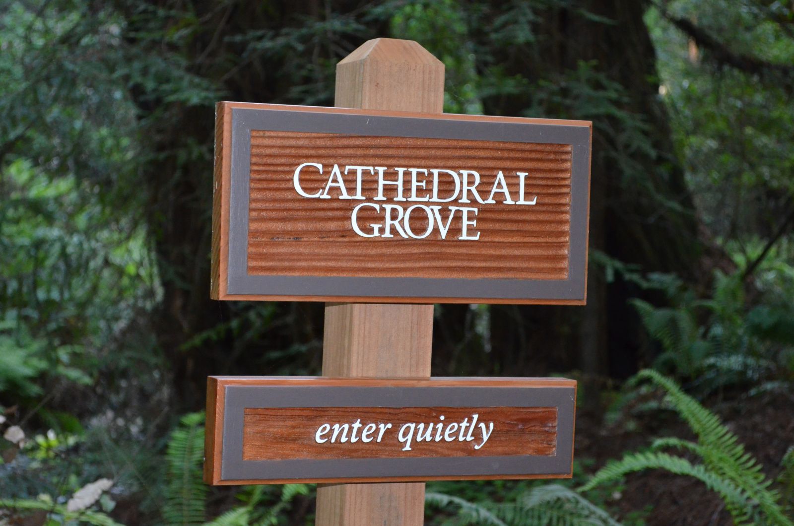 Cathedral Grove sign Cathedral Grove sign