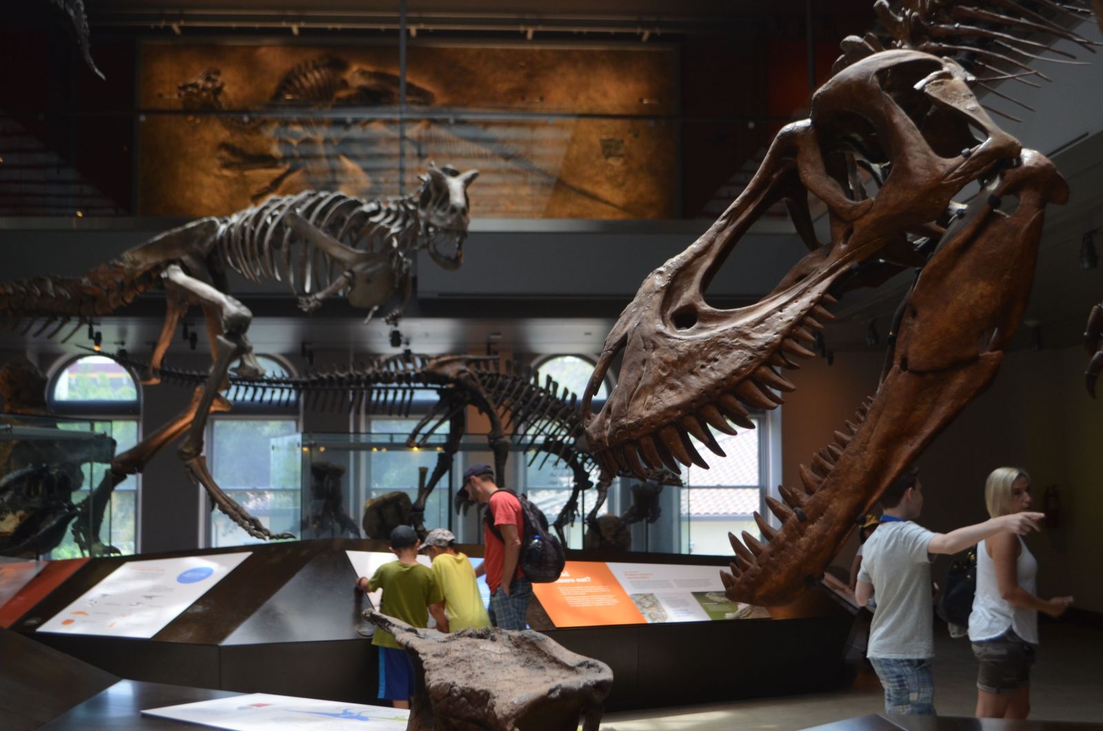 Natural History Museum Los Angeles: Best Exhibits Natural History Museum Los Angeles: Best Exhibits