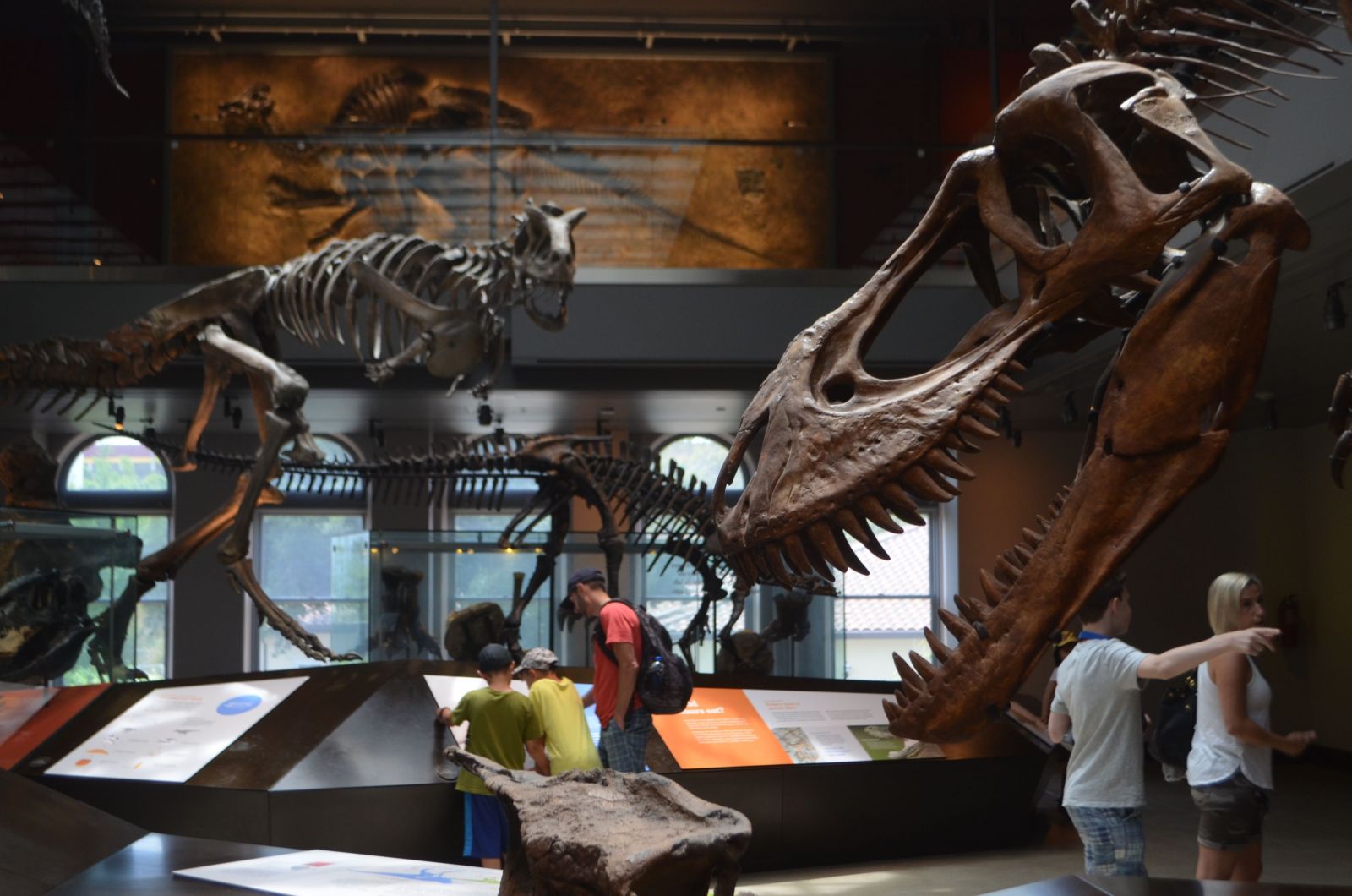 Natural History Museum Los Angeles: Best Exhibits