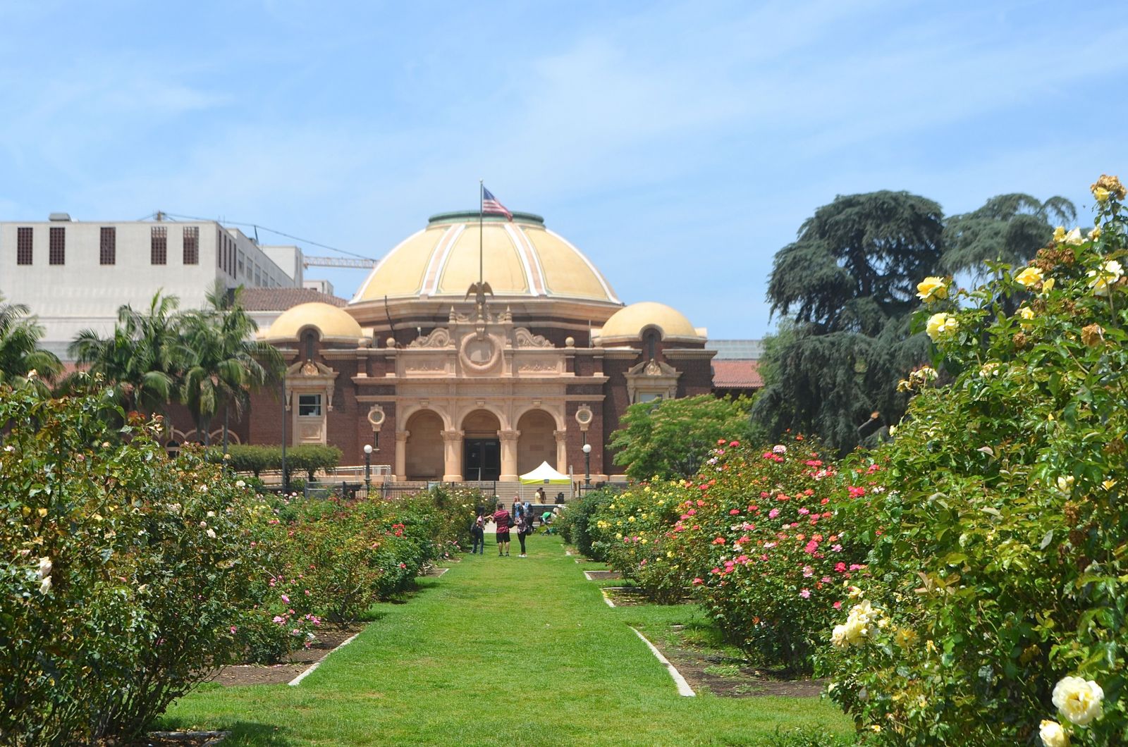 Natural History Museum Los Angeles: 10 BEST Things to Do Natural History Museum Los Angeles: 10 BEST Things to Do