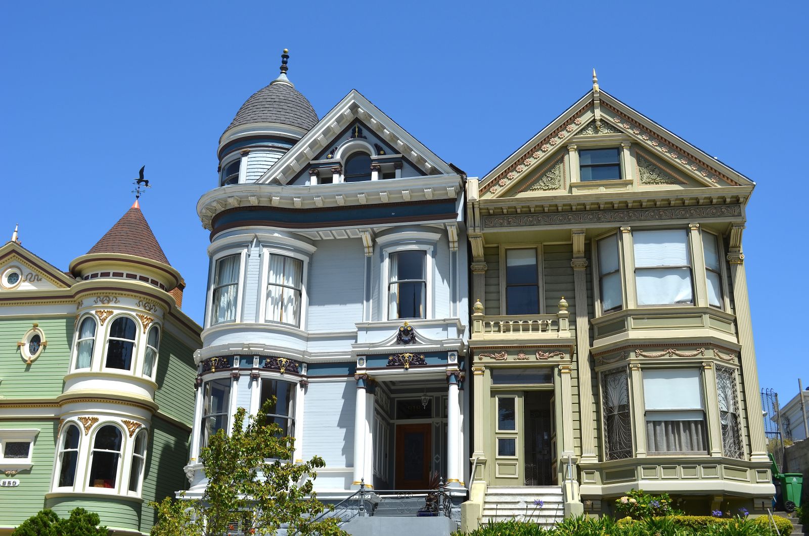 San Francisco Painted Ladies