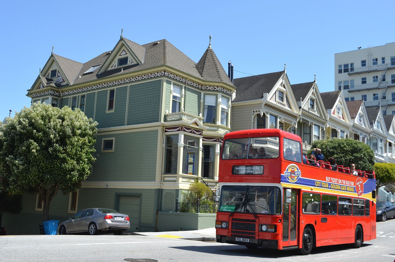 BEST things to see at Painted Ladies