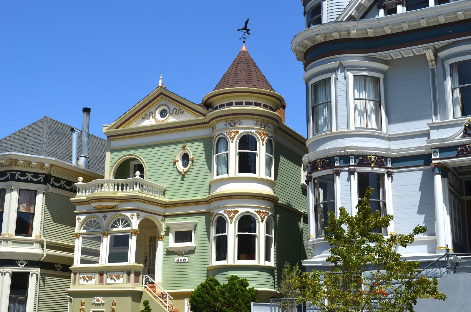 #1 Guide to Painted Ladies