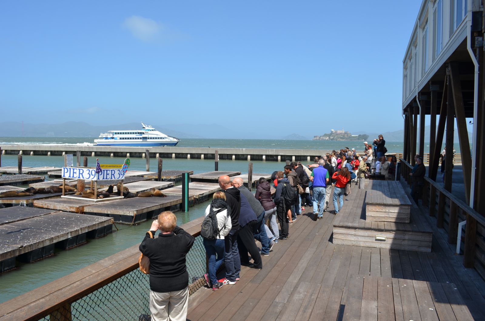 Tourists at Pier 39 watching sea lions