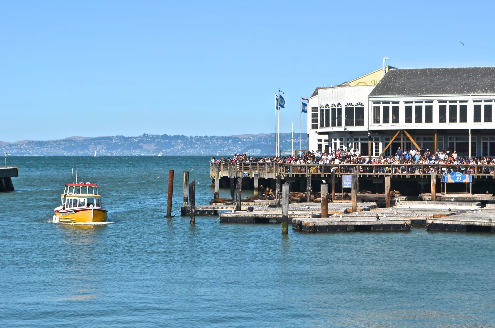 San Francisco Pier 39