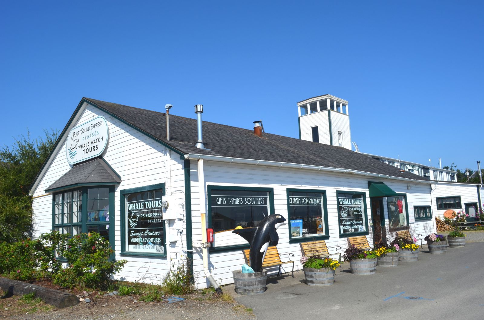 Port Townsend whale watching tours.