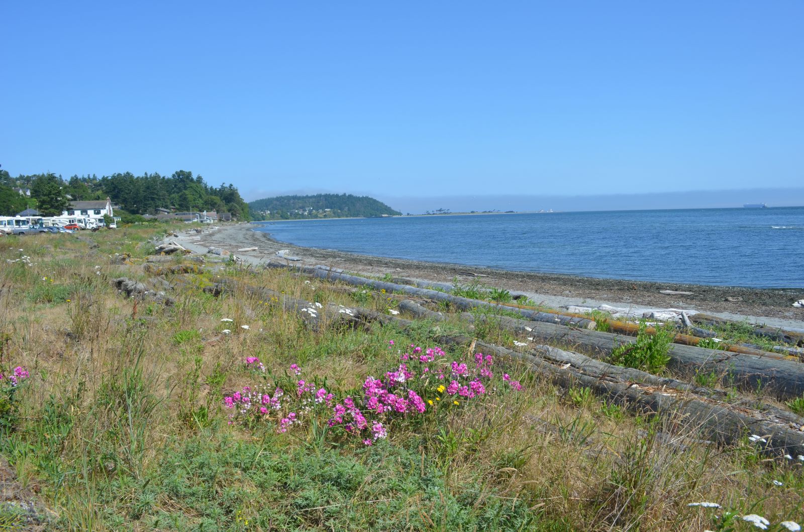 Beach at Port Townsend.