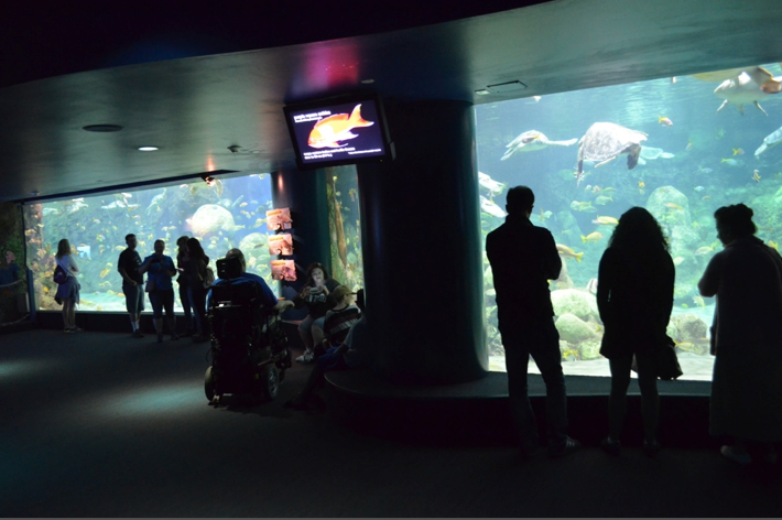 Visitor Guide to Seaworld San Diego Visitor Guide to Seaworld San Diego
