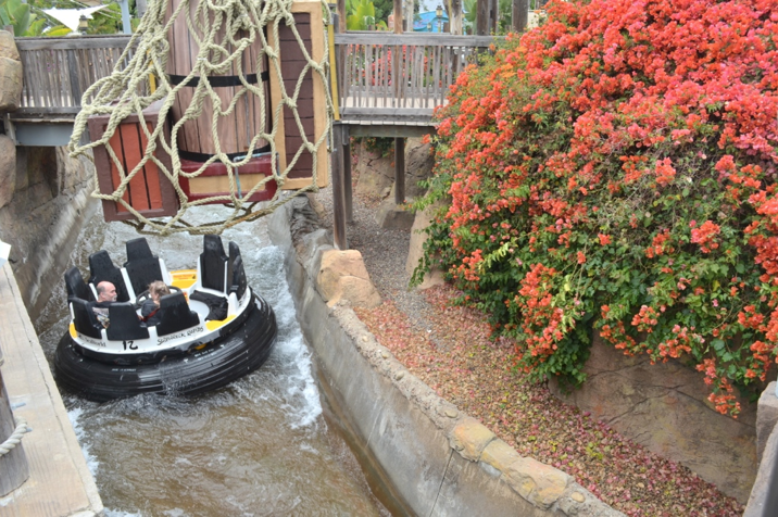 SeaWorld San Diego: 10 BEST Things to See SeaWorld San Diego: 10 BEST Things to See