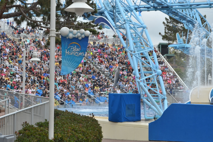 10 BEST Attractions at Seaworld San Diego