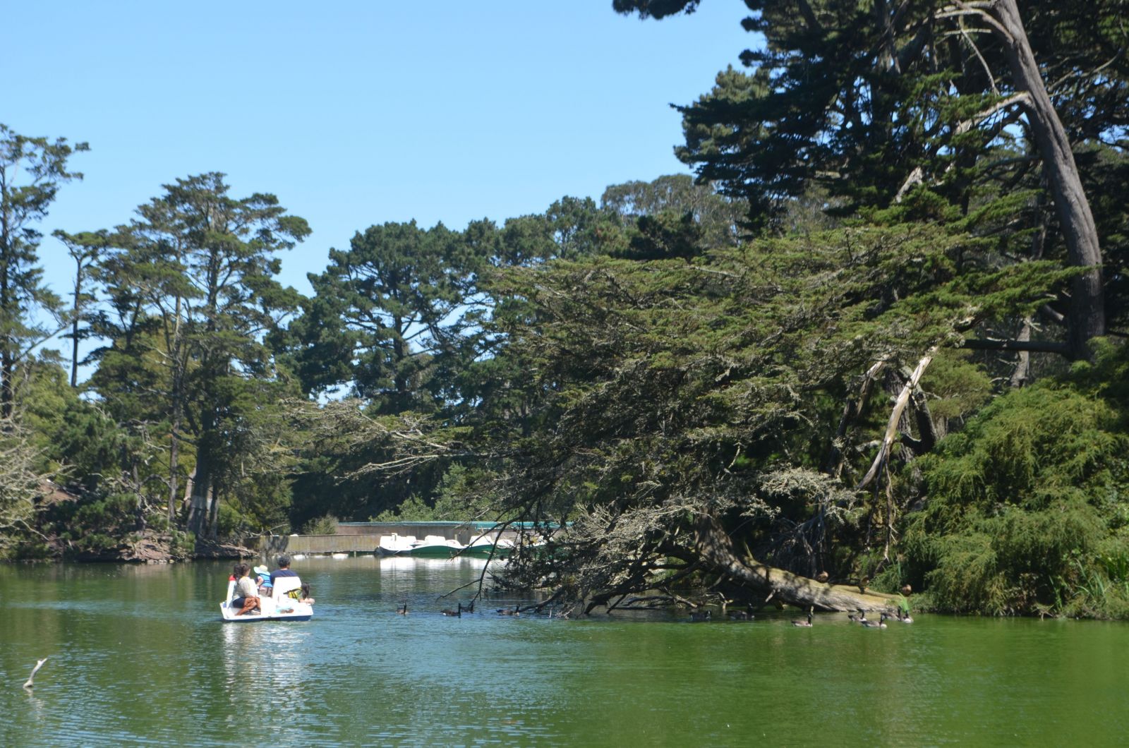 Stow Lake SF Stow Lake SF
