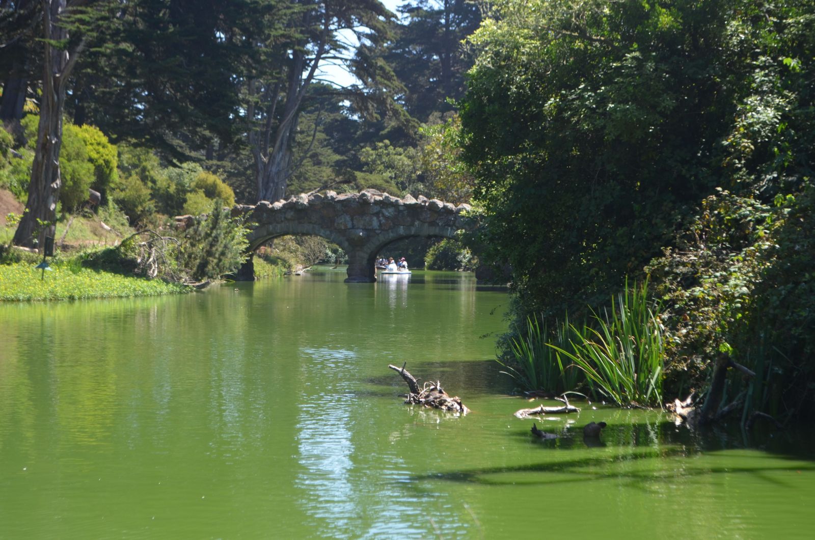 Stow Lake San Francisco