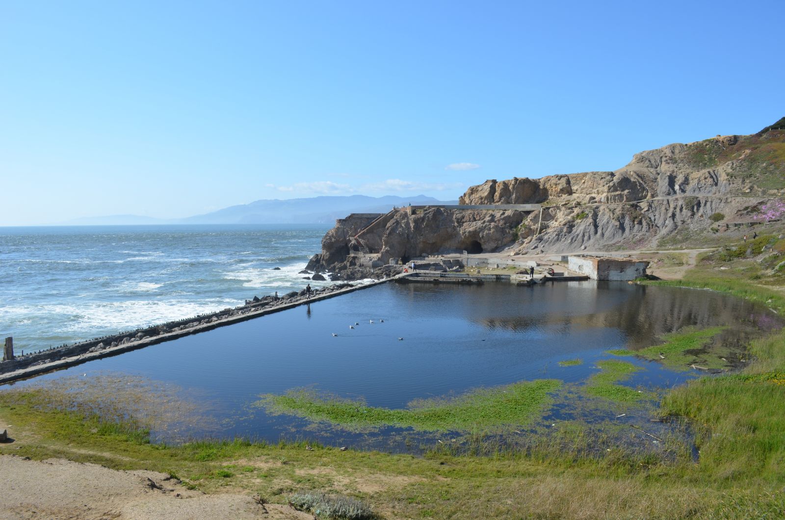 Point Lobos