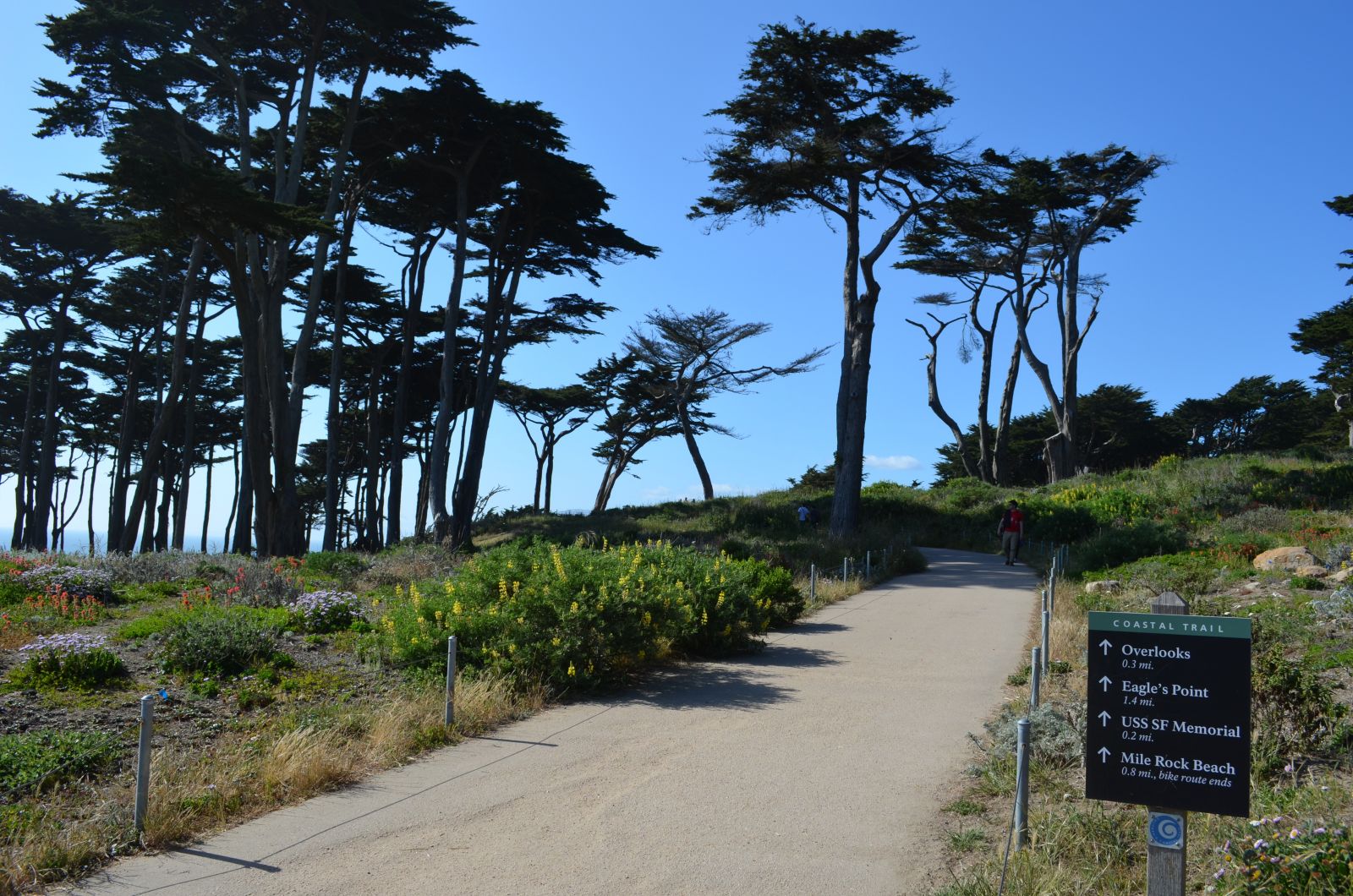 Coastal Trail at San Francisco.