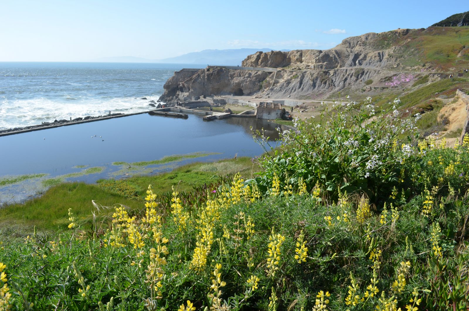 BEST of Sutro Baths 