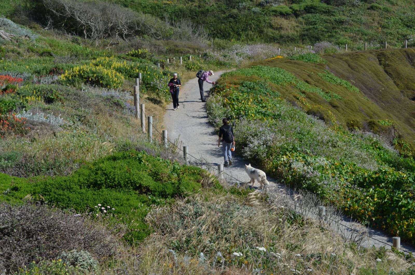 Sutro baths ocean trails.