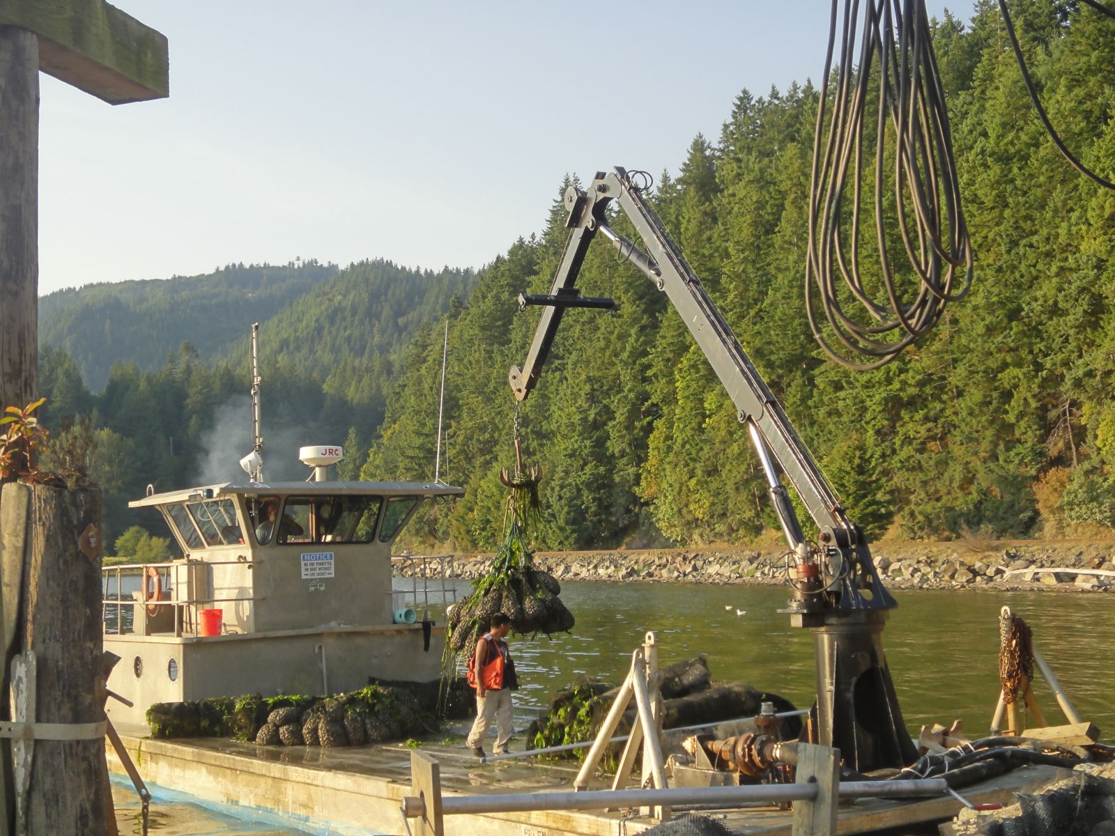 Taylor Shellfish Farms
