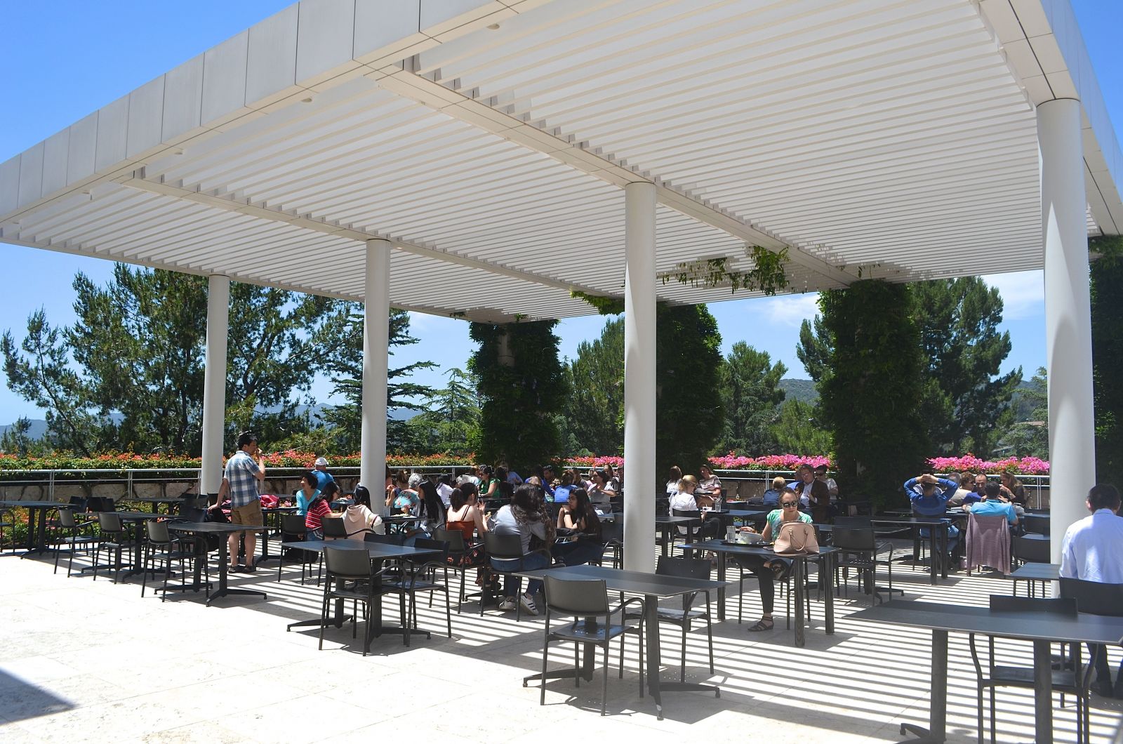 Getty Museum: Cafe