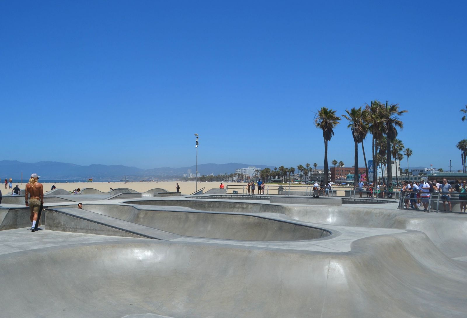 Venice Skate Park: What to Do There