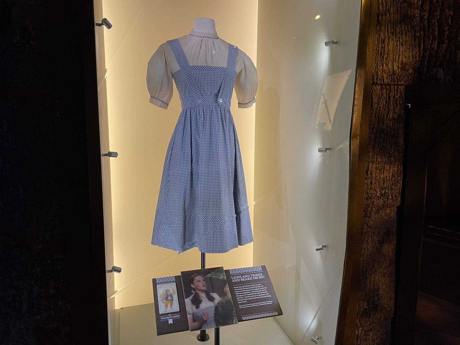 Wizard of Oz dorothy costume, from Museum of Pop Culture in Seattle.