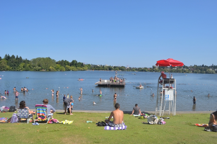 10 BEST Attractions at Green Lake Seattle
