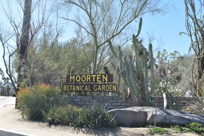 Moorten Botanical Garden