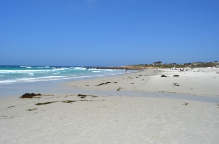 Asilomar State Beach
