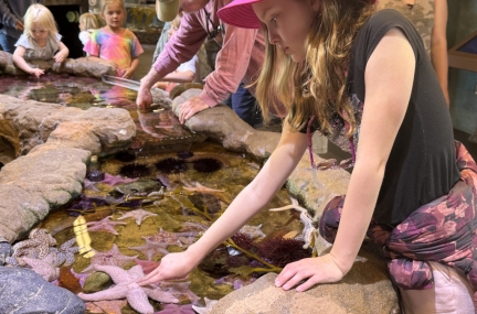 Santa Barbara Sea Center